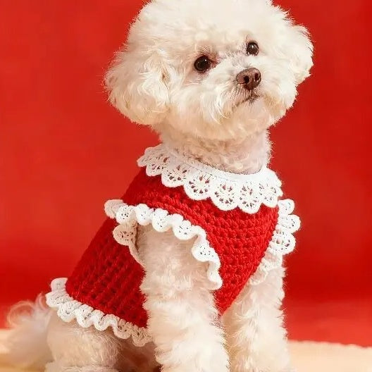 How to Choose Dog Sweaters