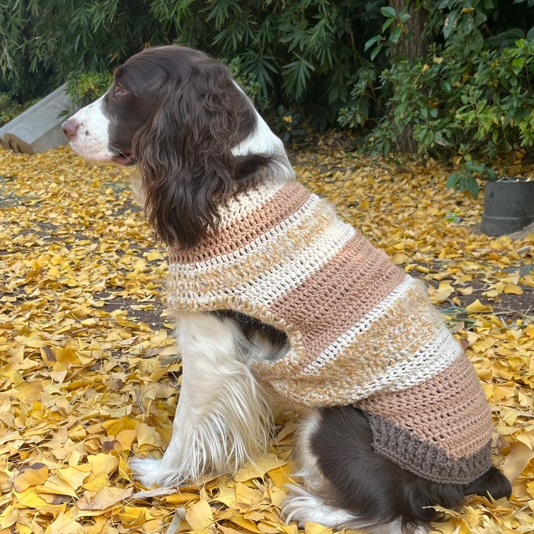 Dog Sweaters Price