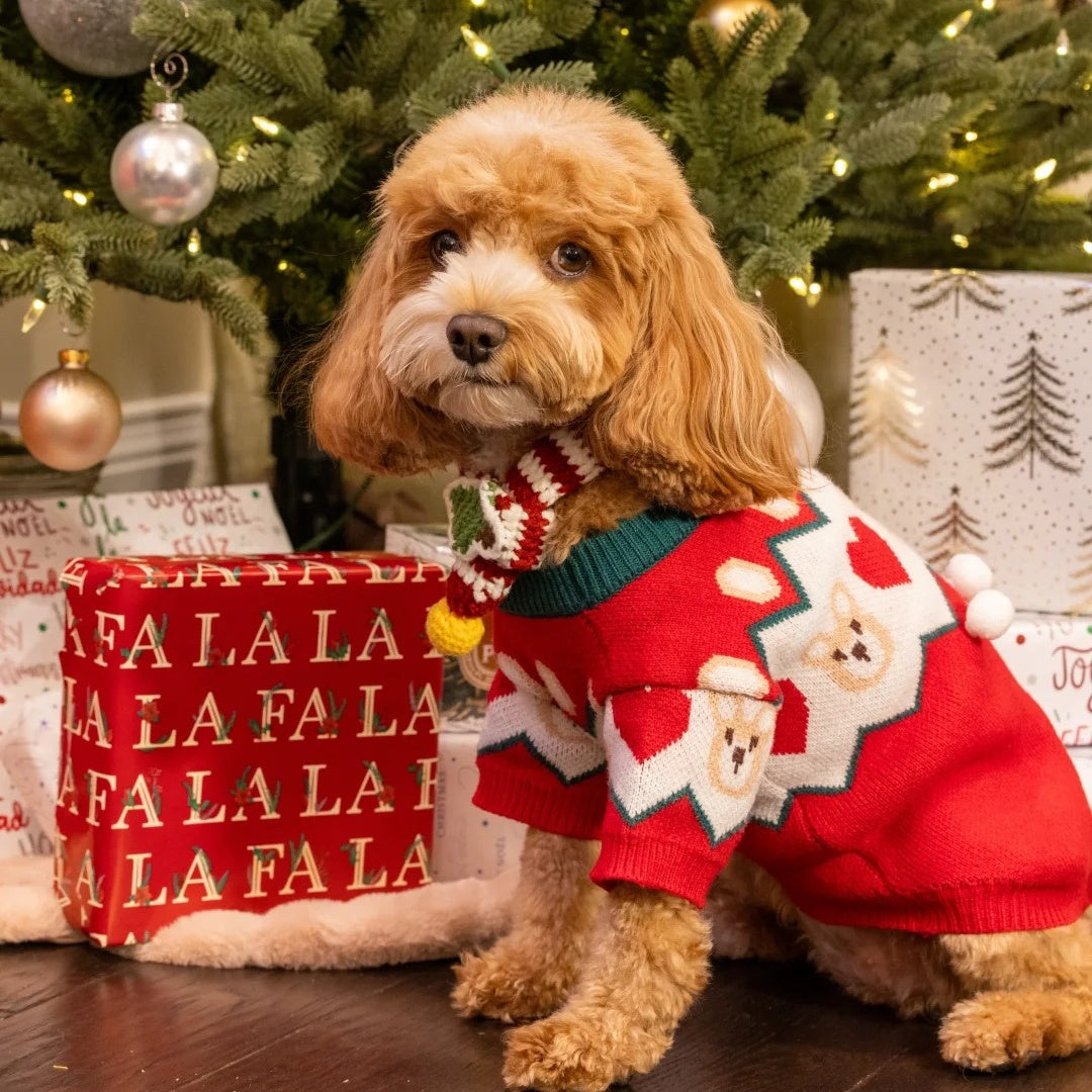 Custom Christmas Sweaters for Pets