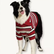 Dog Sweaters